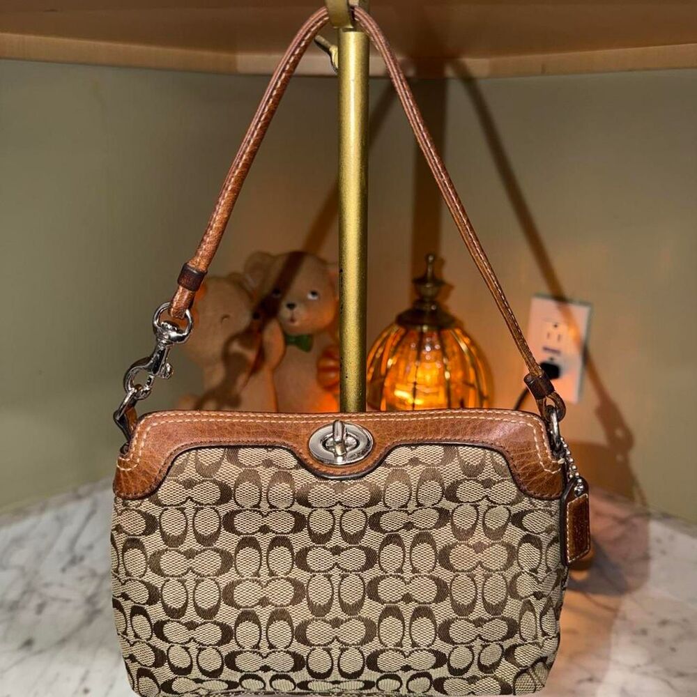 Coach Women's Brown and Tan Bag